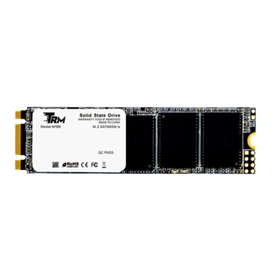 TRM 256gb M.2 M100 Solid State Drive (SSD)(3Y)